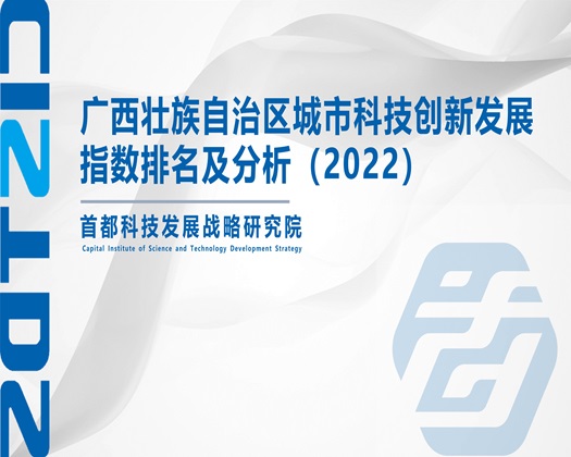 酴え裂脣排【成果发布】广西壮族自治区城市科技创新发展指数排名及分析（2022）